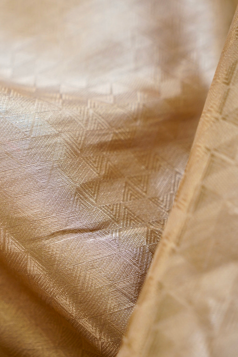 Ivory Banarasi Tissue Silk