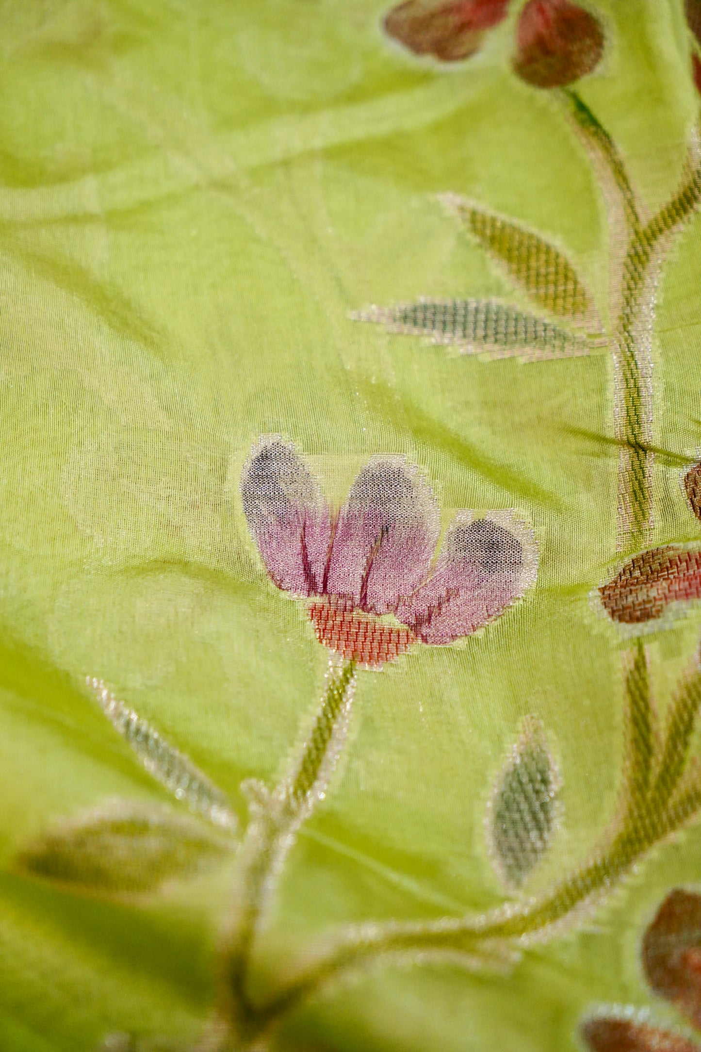 Elegant Green Pure Viscose Hand-Brush-Dyed Banarasi Saree