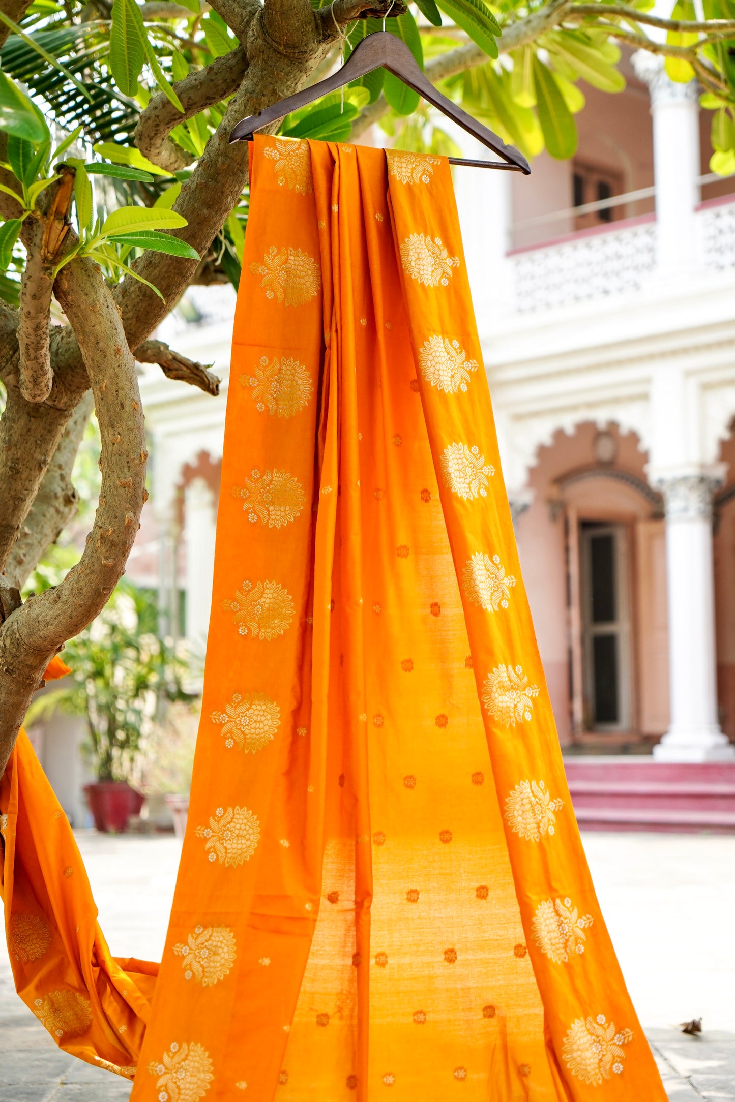 Mustard Yellow Raw Mango Soft Silk Banarasi Saree