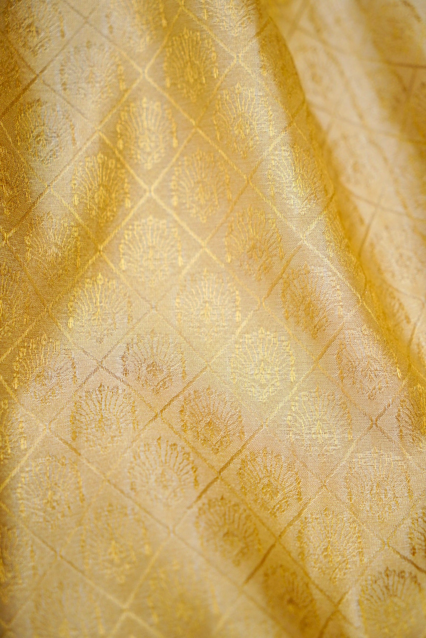 Satin Tissue Brocade Banarasi Saree