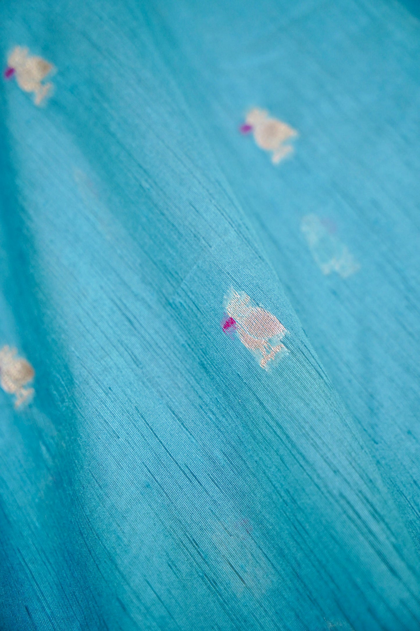 Raw Tussar Silk Banarasi Saree