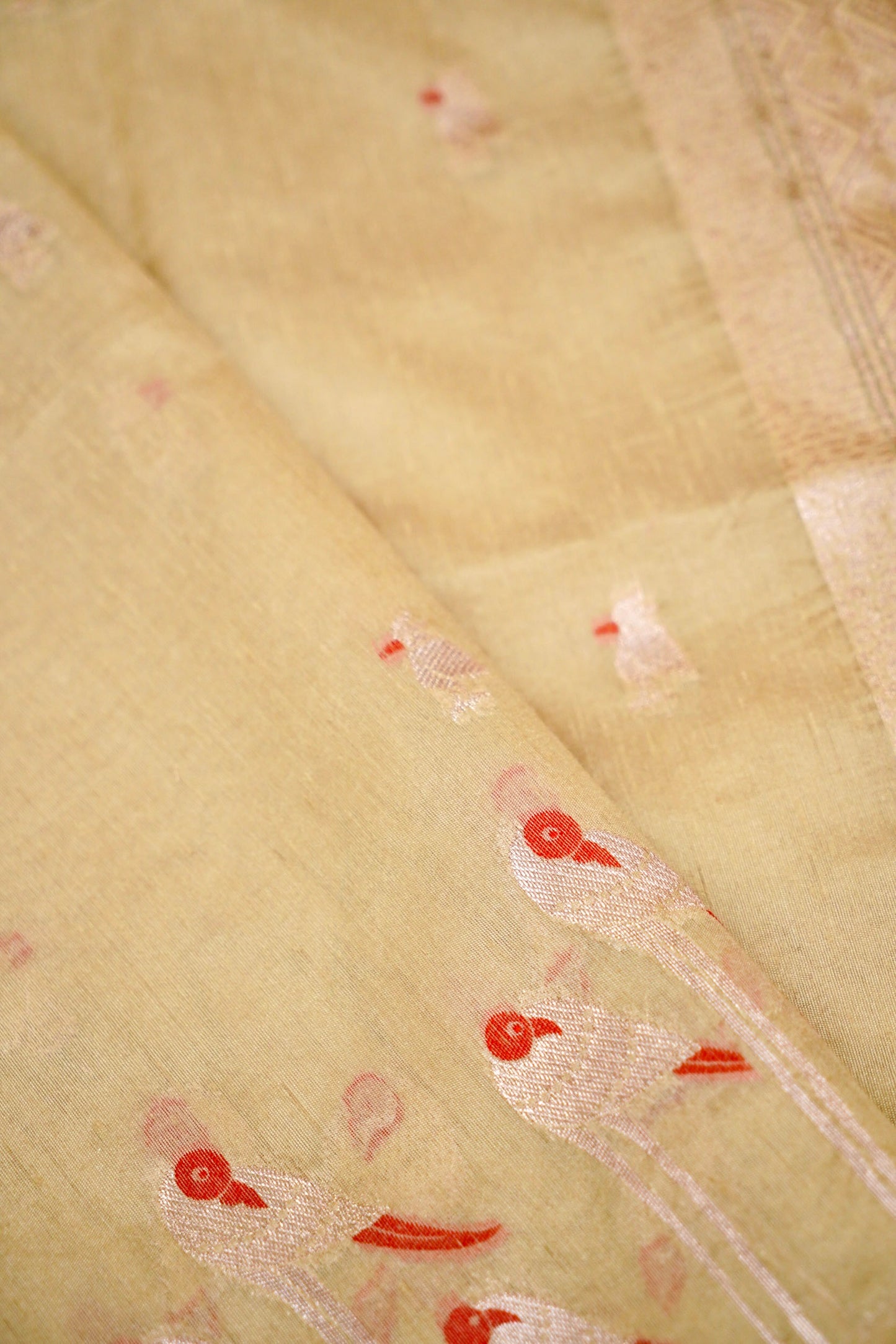 Raw Tussar Banarasi Saree