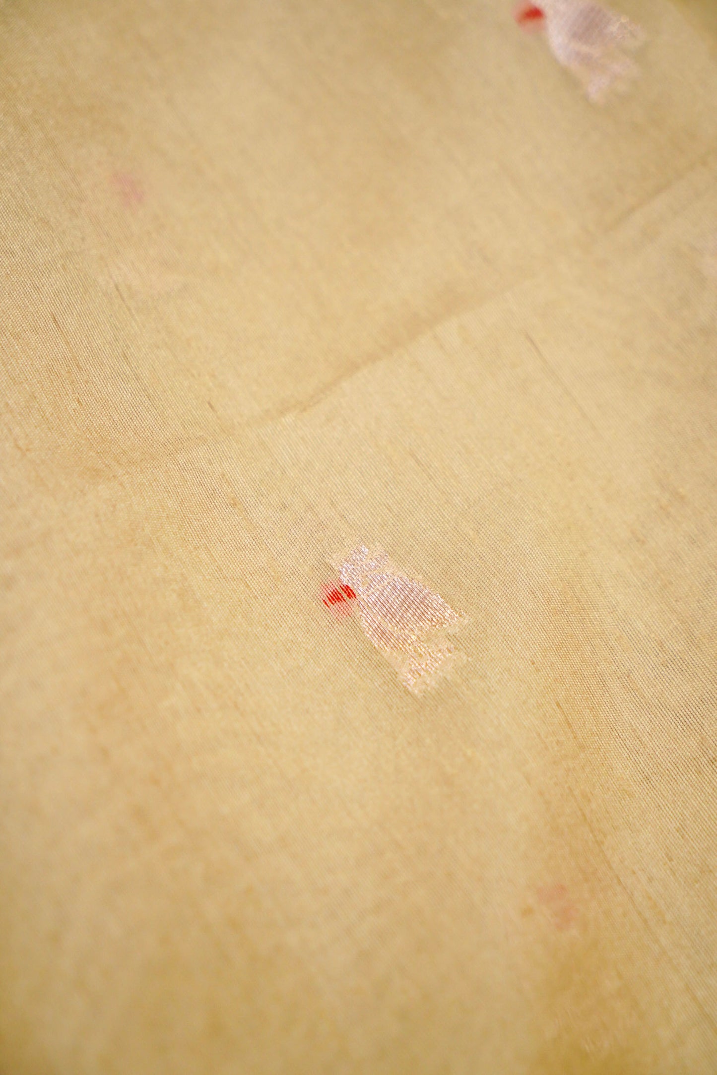 Raw Tussar Silk Banarasi Saree