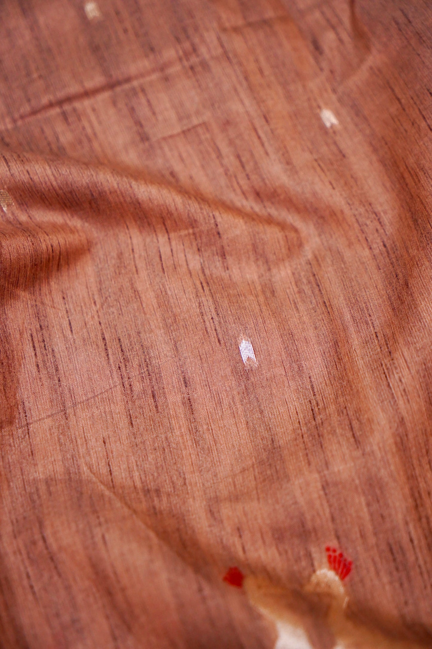 Raw Tussar Silk Banarasi Saree
