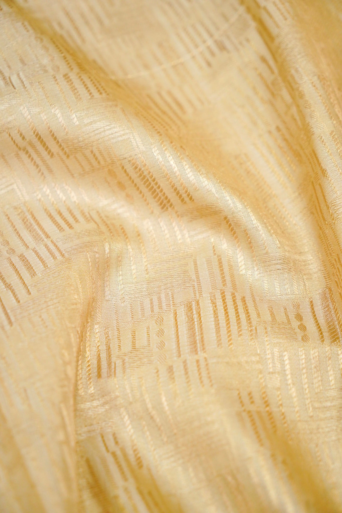 Satin Border Tissue Brocade Banarasi Saree