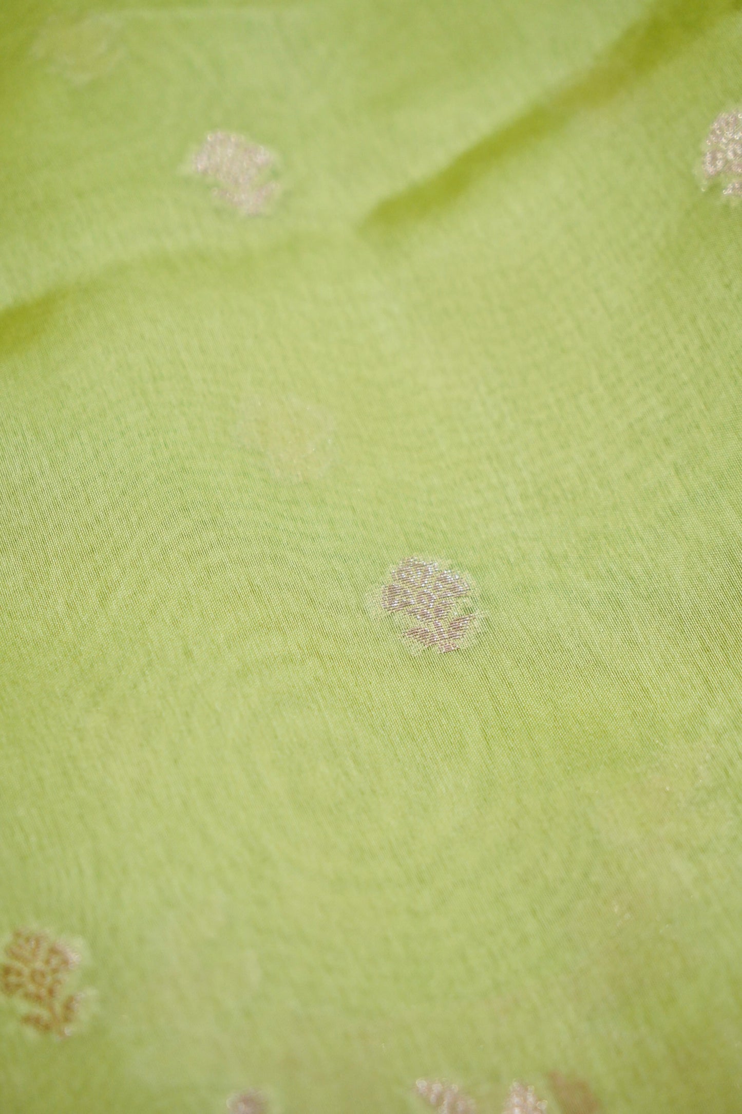 Radiant Green Raw Mango Silk Saree