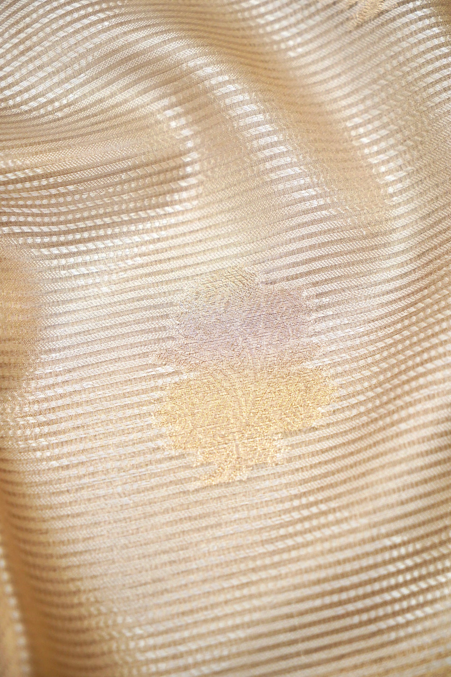 Banarasi Tissue Silk Saree