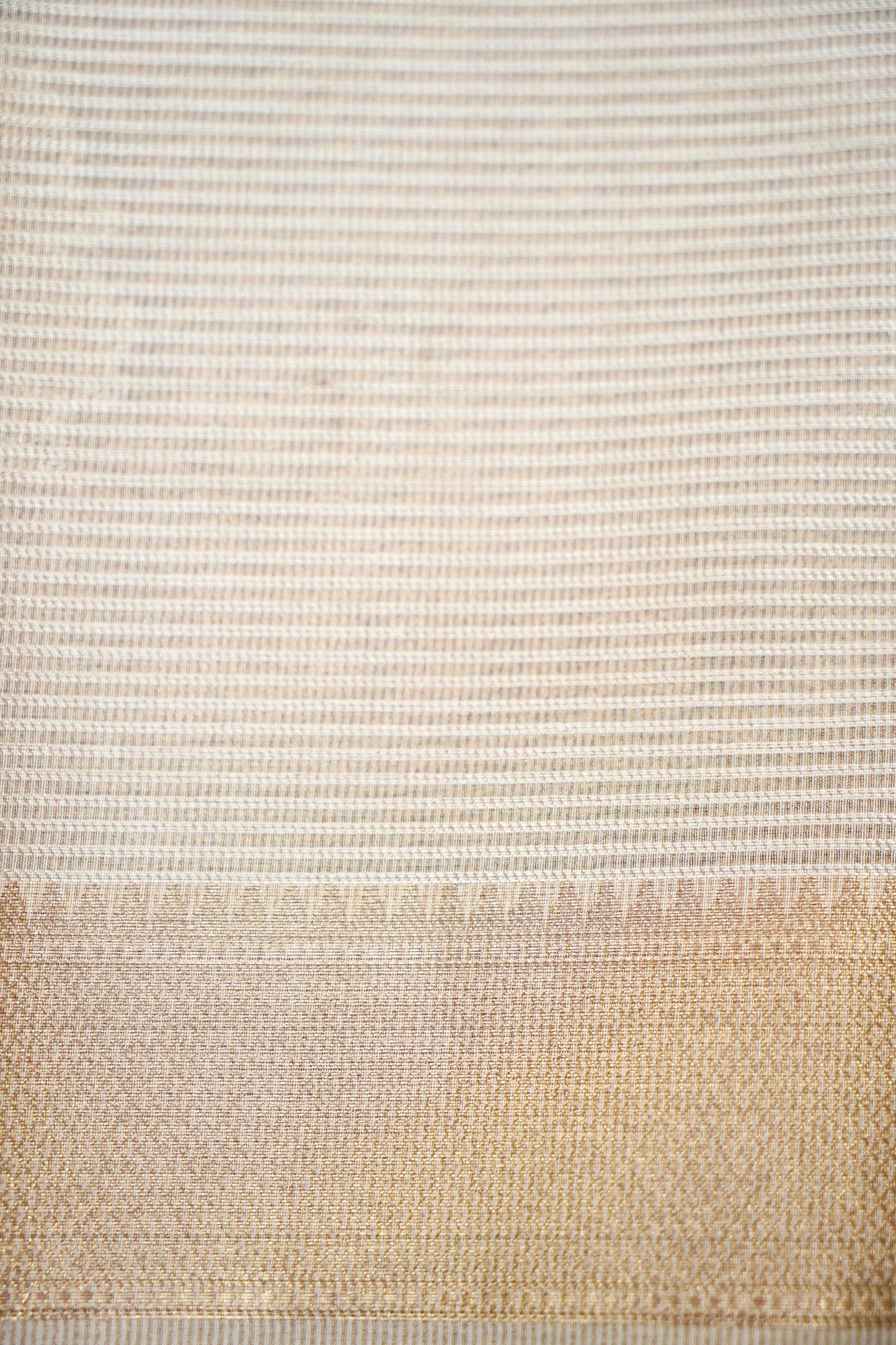 Banarasi Tissue Silk Saree