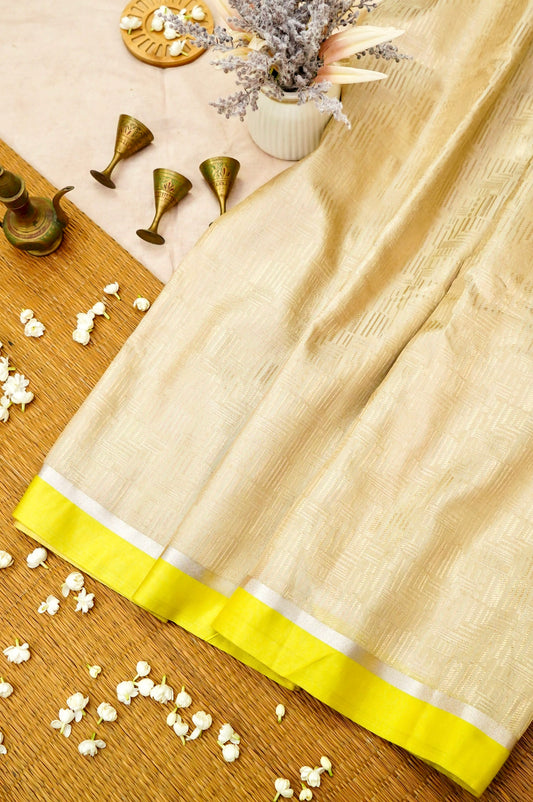 Satin Border Tissue Brocade Banarasi Saree